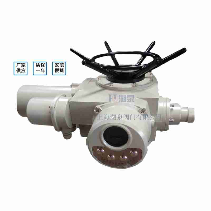 閥門電動(dòng)裝置（dzw05,10,20，30,45,60，90,12