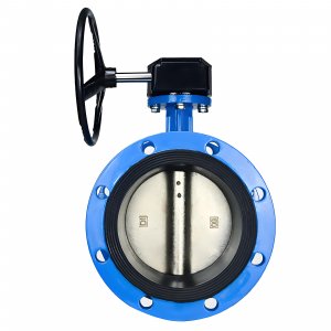 法蘭式蝸輪蝸桿蝶閥DN40，1.6Mpa（橡膠密封