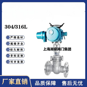 Z941W-16P，DN250，CF8/F304不銹鋼電動閘閥